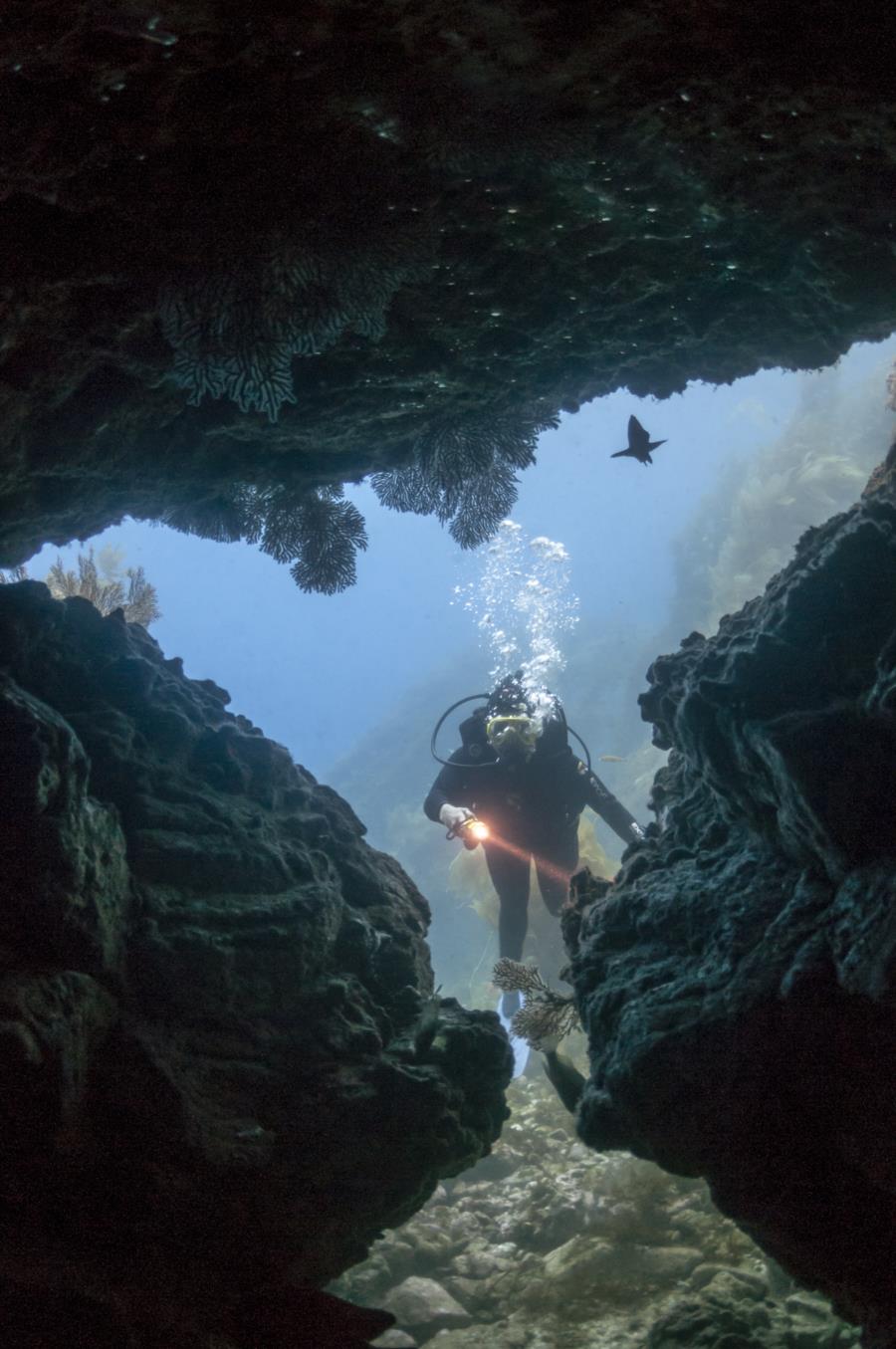 Cave Exploration