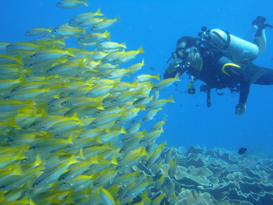 South miniloc reef