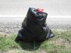 Another bag of UW trash from Marietta Landing