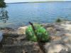 Lake Murray cleanup