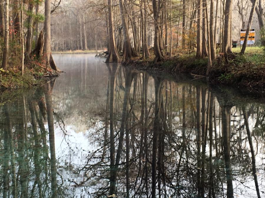 Devil’s Run at Ginnie Springs