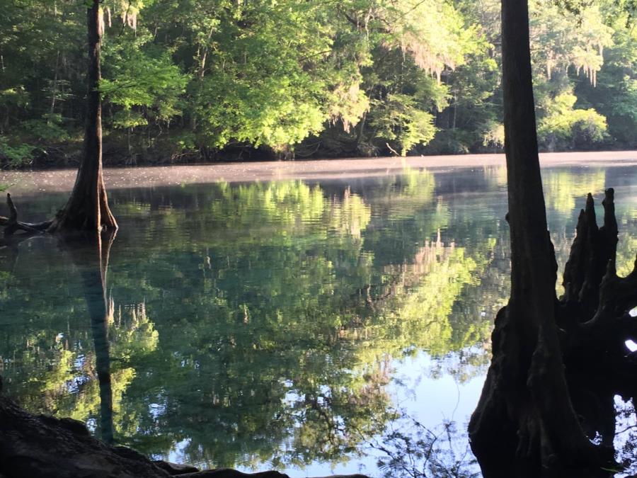 Ginnie Springs Run to the Santa Fe River