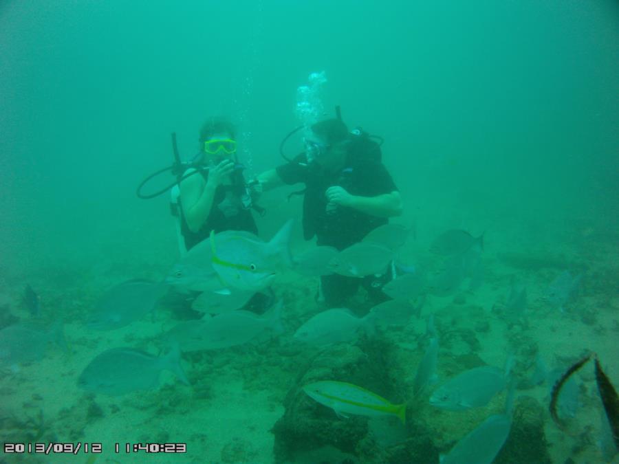 Photo uploaded by caribaqu (Chubs & snappers around divers (3).JPG)