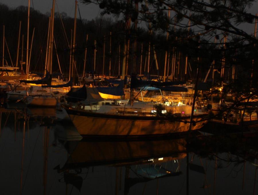 Sale Creek Marina TN at Night