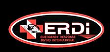 ERDI PSD Logo