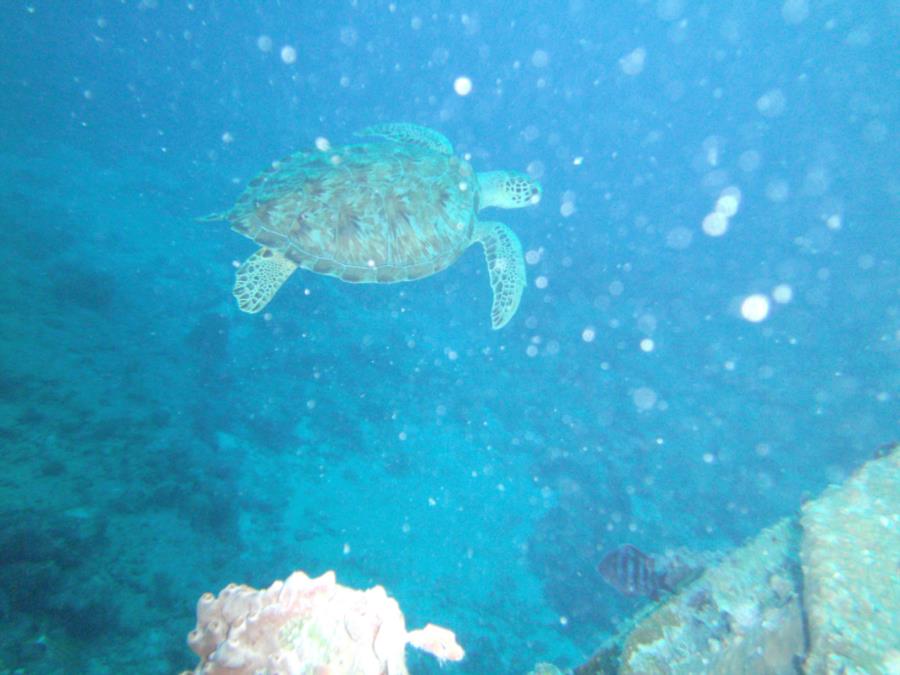 St Maarten