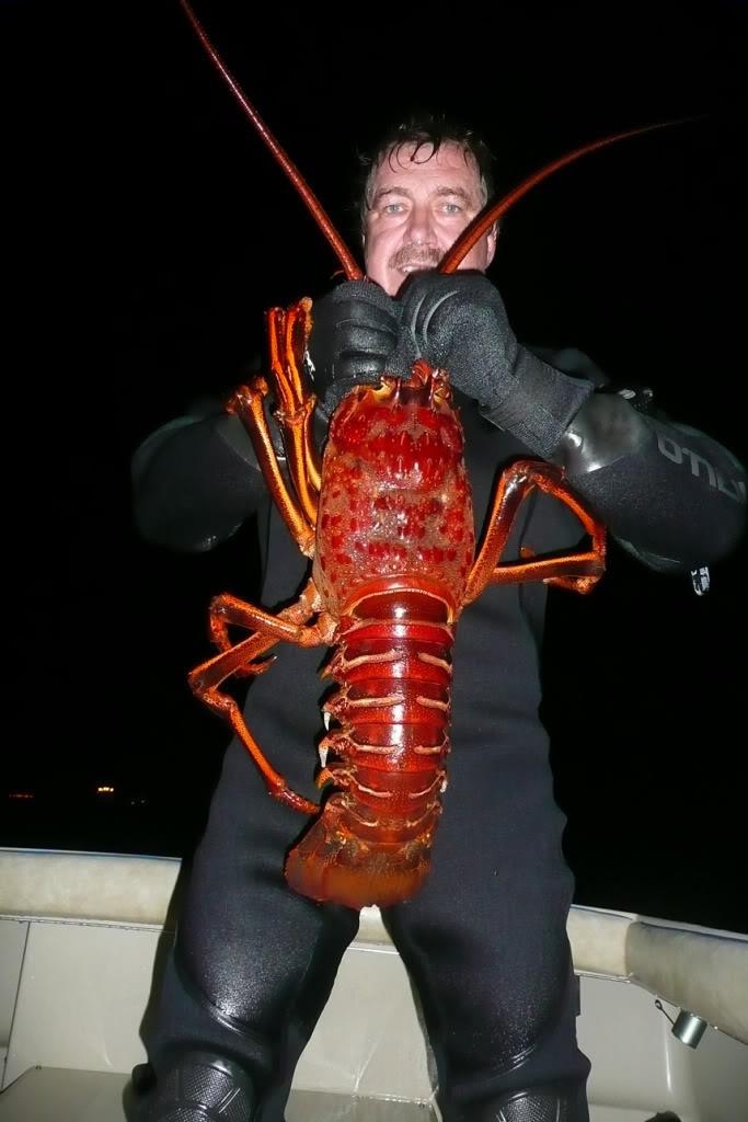 Lobster