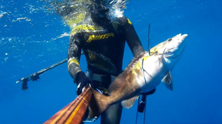 Spear fishing