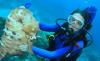 Huge Horse-fish