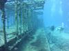 Nassau trip wreck