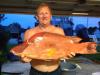 21 lb Hogfish
