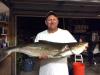 Cobia 28 lbs