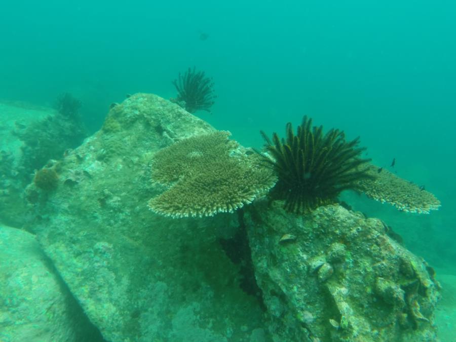 Dive Hainan, China