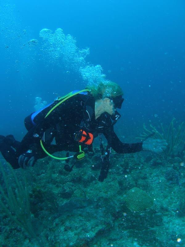 Reef Dive