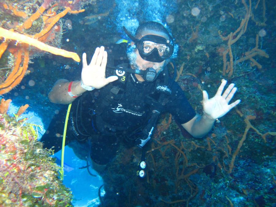 Cozumel Dive