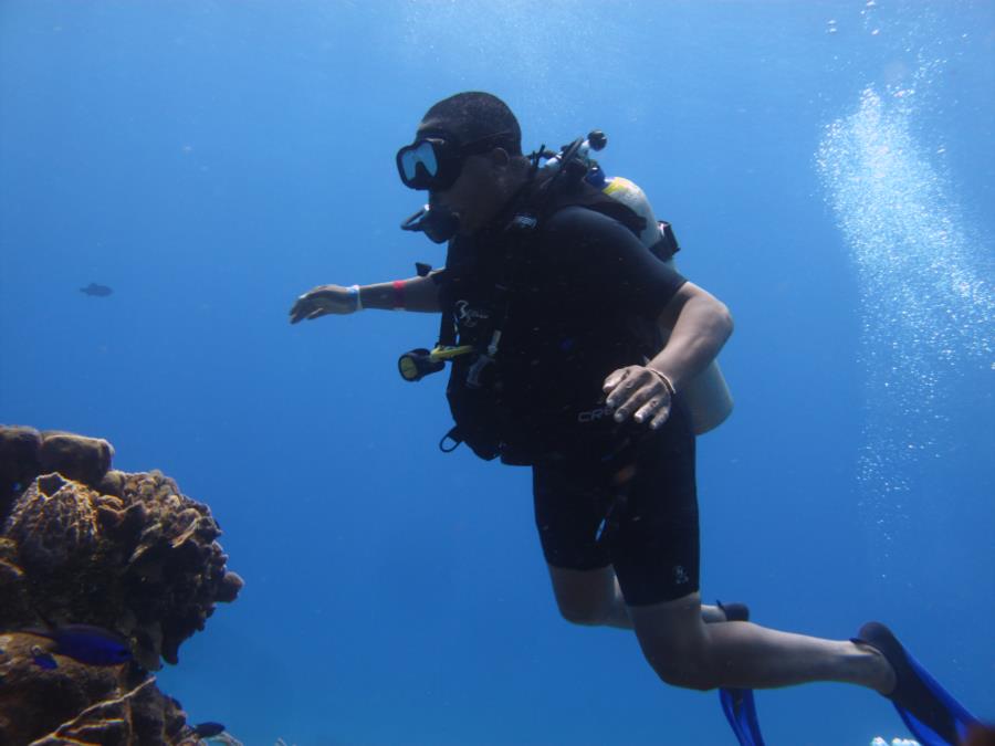 Cozumel Dive at 80 feet