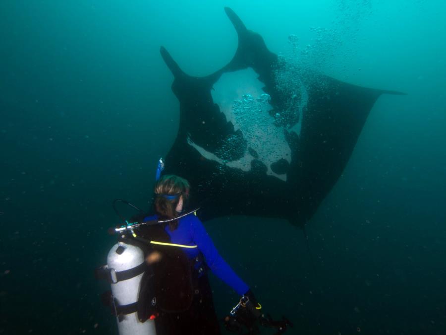 Tam with Manta