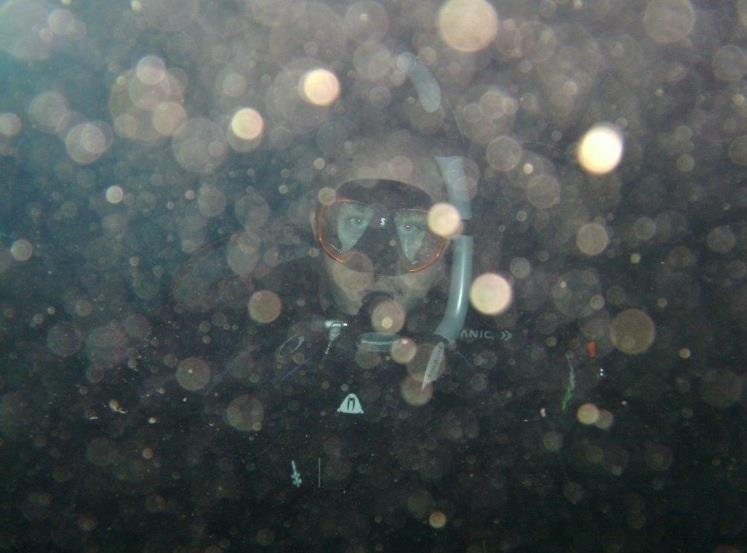 Photo uploaded by Skjamdive (image.jpg)