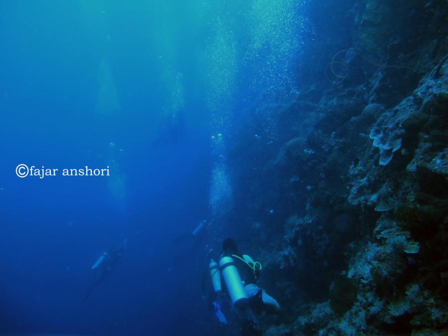 Diving Manado