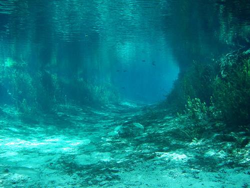 Ginnie Springs