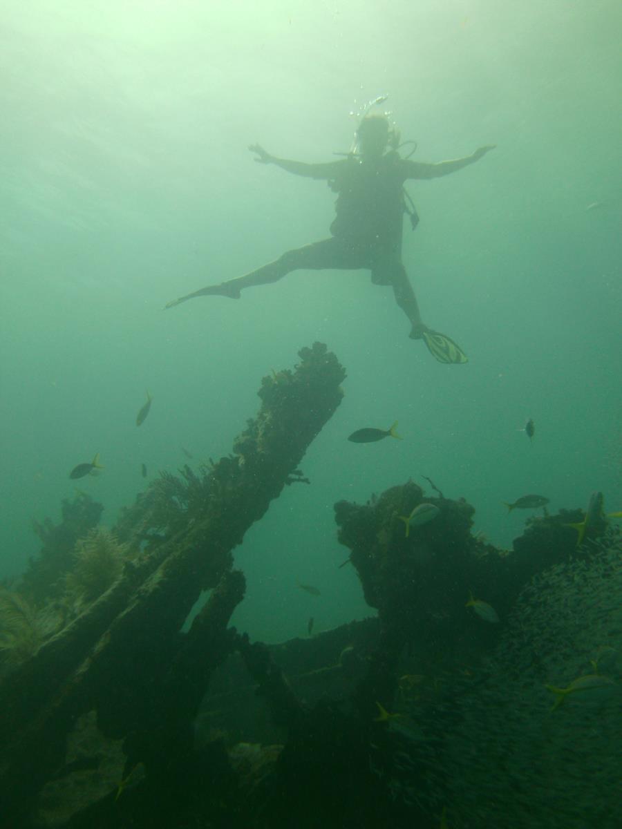 Photo uploaded by dolphngirl13 (PICT0136.JPG)