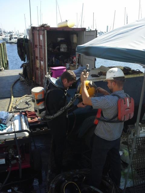 aquanaut86’s Profile Photo