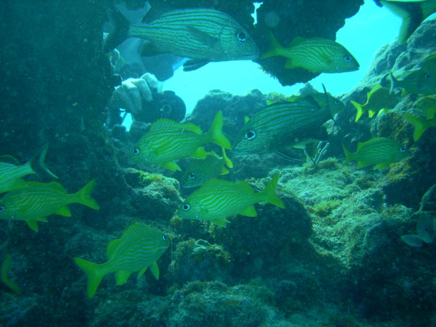 florida keys