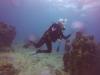 Underwater museum, Cancun