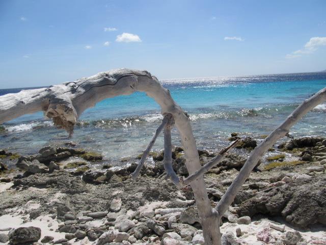 Bonaire 2013
