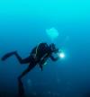 Diver snapping jellies