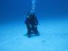 Bonaire 2013 First Deep Dive 132’