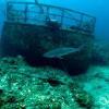Shipwreck - Badlander316