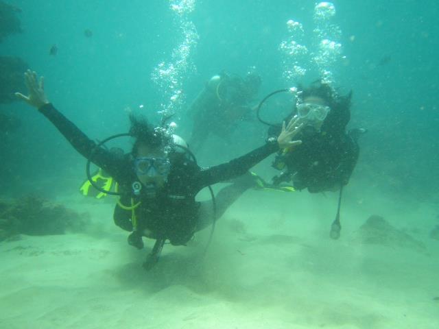 PADI open water licence .. Well i am still a beginner!