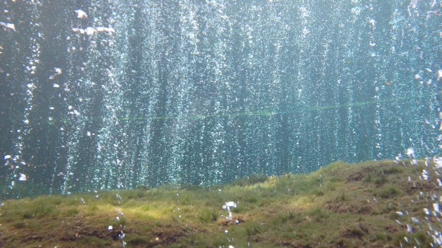 Ginnie Springs