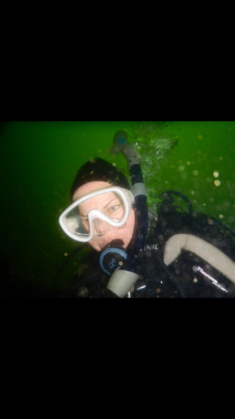 Monterey diving