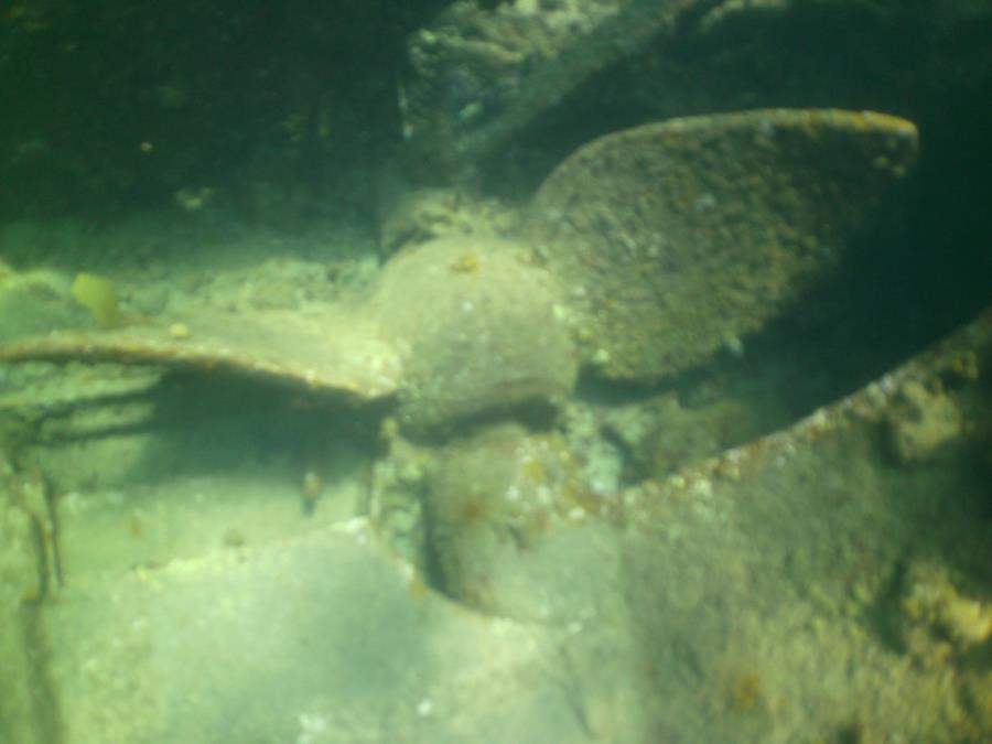 RMS Rhone propeller