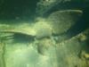 RMS Rhone propeller