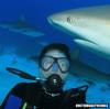 Stuart Cove Shark Dive off Nassau