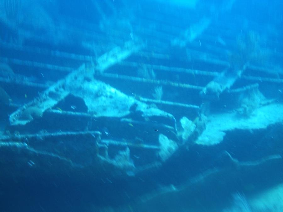 Benwood Wreck Key Largo