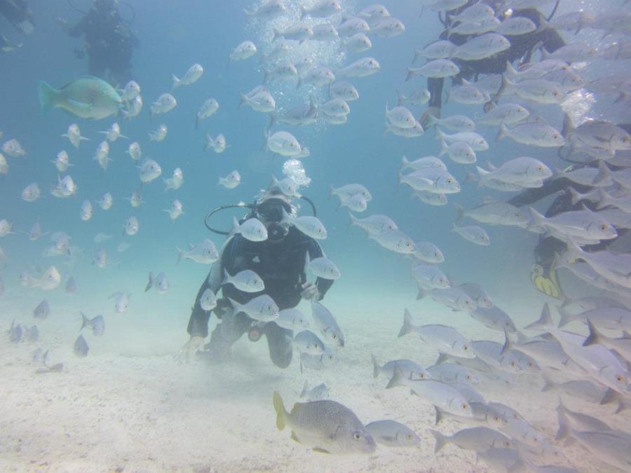 Galapagos 2012