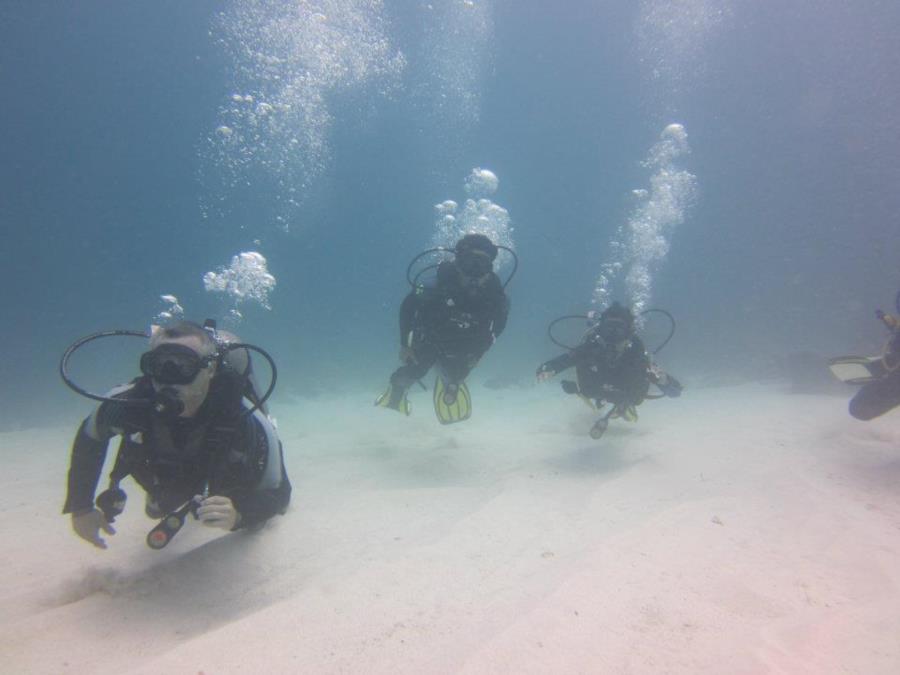 Galapagos 2012