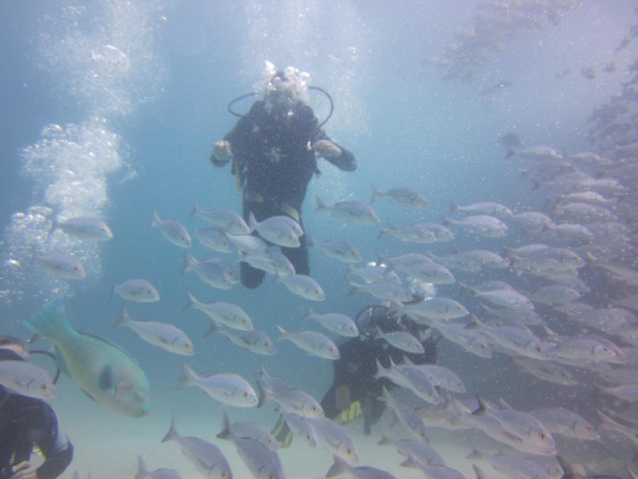 Galapagos 2012