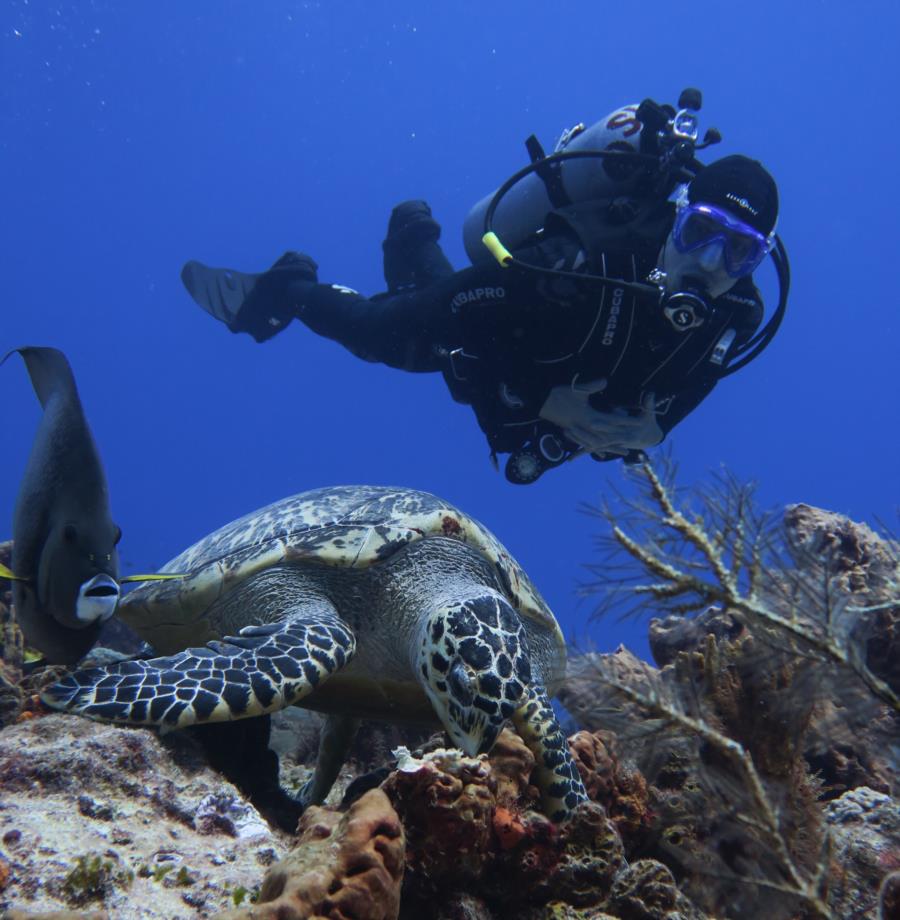 Cozumel