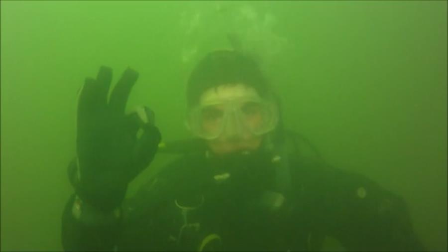 JournalsimDiver’s Profile Photo