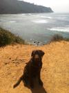 Coco at Malaga Cove, Palos Verdes