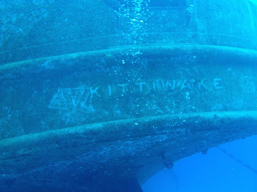 Kittiwake Dive