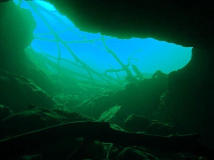 Peacock springs
