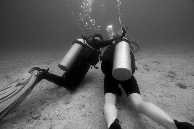 Divers Below