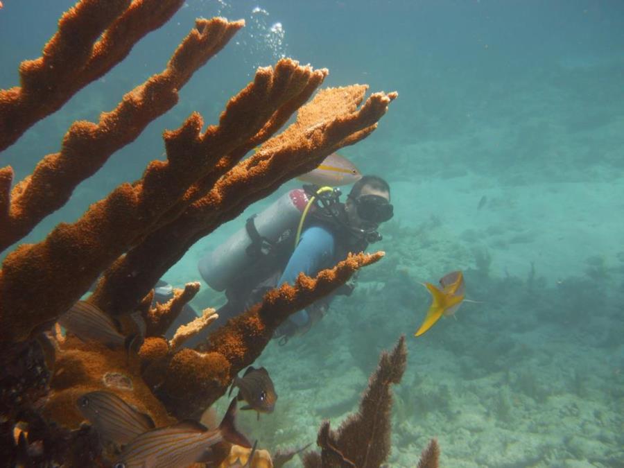 key largo