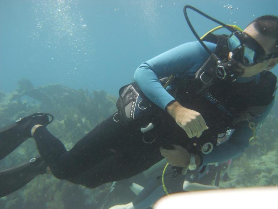 Elbow reef, Key Largo, Fl.